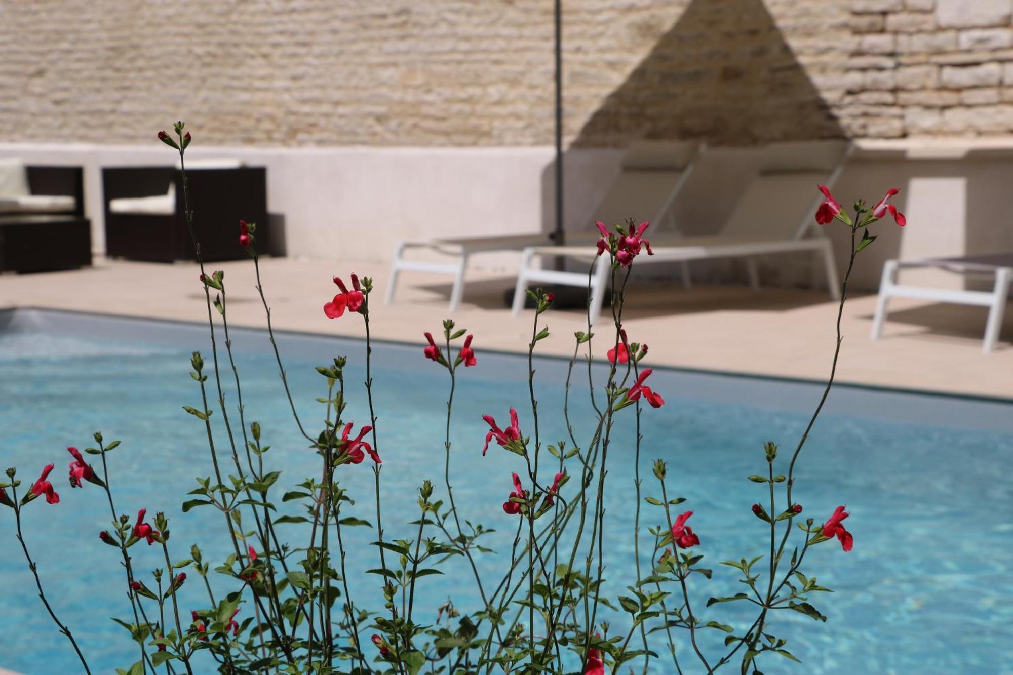 La Villa Lombardi En Champagne, Avec Piscine Privee Et Jacuzzi Les Riceys Kültér fotó